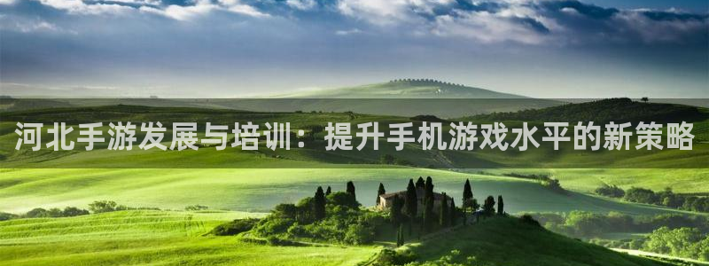 巅峰国际平台：河北手游发展与培训：提升手机游戏水平的新策略