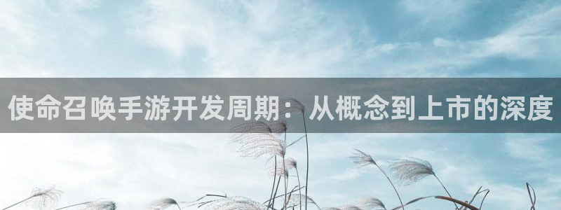 巅峰国际：使命召唤手游开发周期：从概念到上市的深度