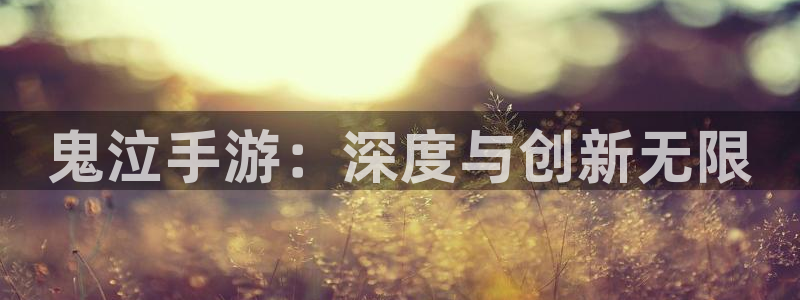 巅峰国际注册：鬼泣手游：深度与创新无限