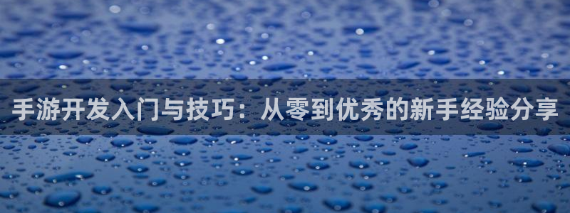 巅峰国际平台：手游开发入门与技巧：从零到优秀的新手经验分享