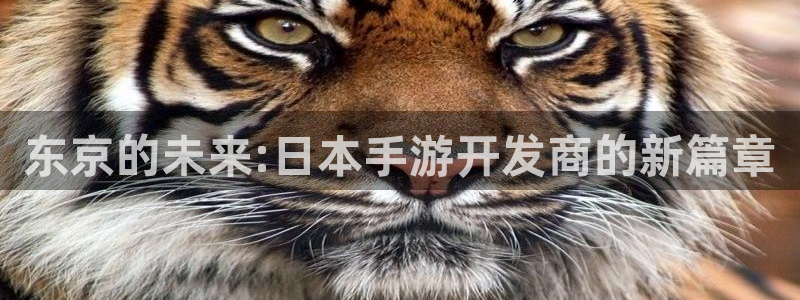 巅峰国际平台：东京的未来:日本手游开发商的新篇章