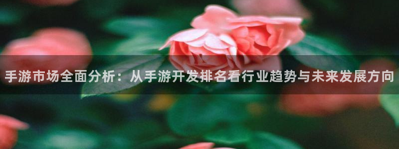 巅峰国际登陆：手游市场全面分析：从手游开发排名看行业趋势与未