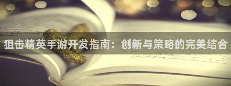 巅峰国际登录：狙击精英手游开发指南：创新与策略的完美结合