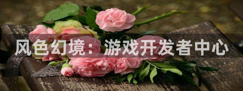 巅峰国际下载：风色幻境：游戏开发者中心