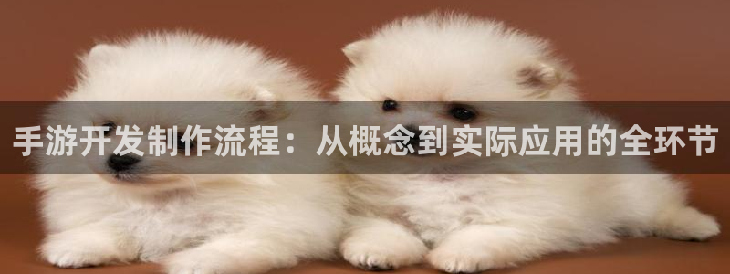 巅峰国际首页：手游开发制作流程：从概念到实际应用的全环节
