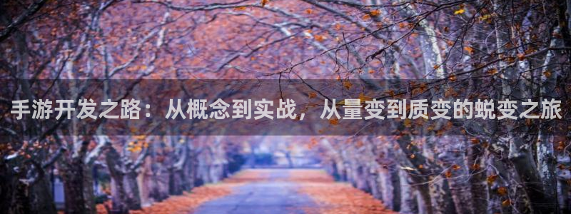 巅峰国际登陆：手游开发之路：从概念到实战，从量变到质变的蜕变