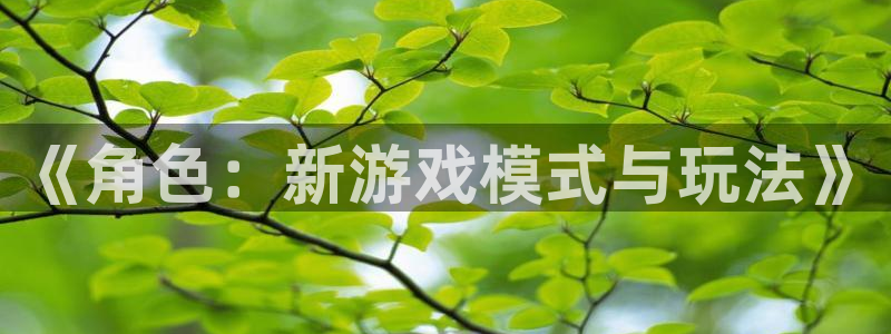 巅峰国际登录：《角色：新游戏模式与玩法》
