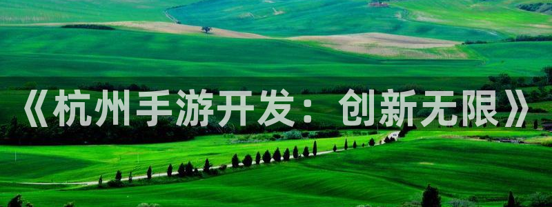 巅峰国际：《杭州手游开发：创新无限》