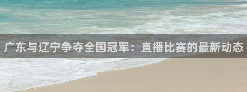 直播玩球：广东与辽宁争夺全国冠军：直播比赛的最新动态