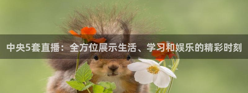 玩球直播app官网：中央5套直播：全方位展示生活、学习和娱乐的精彩时刻