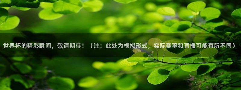 玩球直播看比赛：世界杯的精彩瞬间，敬请期待！（注：此处为模拟形式，实际赛事和直播可能有所不同）