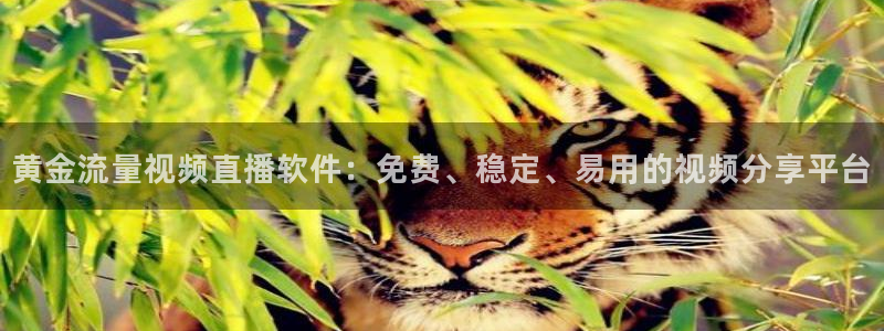 玩球直播吧：黄金流量视频直播软件：免费、稳定、易用的视频分享平台