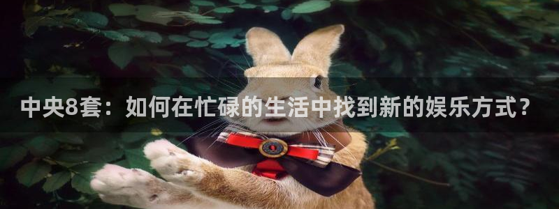 玩球直播官网nba直播：中央8套：如何在忙碌的生活中找到新的娱乐方式？