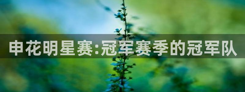 玩球直播app官方版下载：申花明星赛:冠军赛季的冠军队
