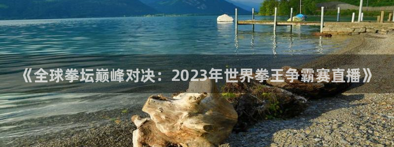nba直播玩球直播：《全球拳坛巅峰对决：2023年世界拳王争霸赛直播》