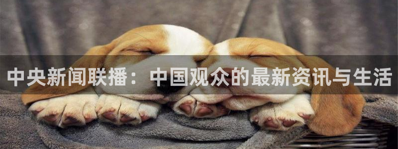 玩球直播nba：中央新闻联播：中国观众的最新资讯与生活