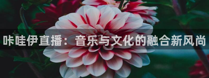玩球体育直播吧：咔哇伊直播：音乐与文化的融合新风尚
