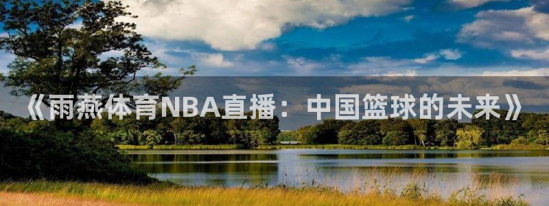玩球直播wqzb：《雨燕体育NBA直播：中国篮球的未来》